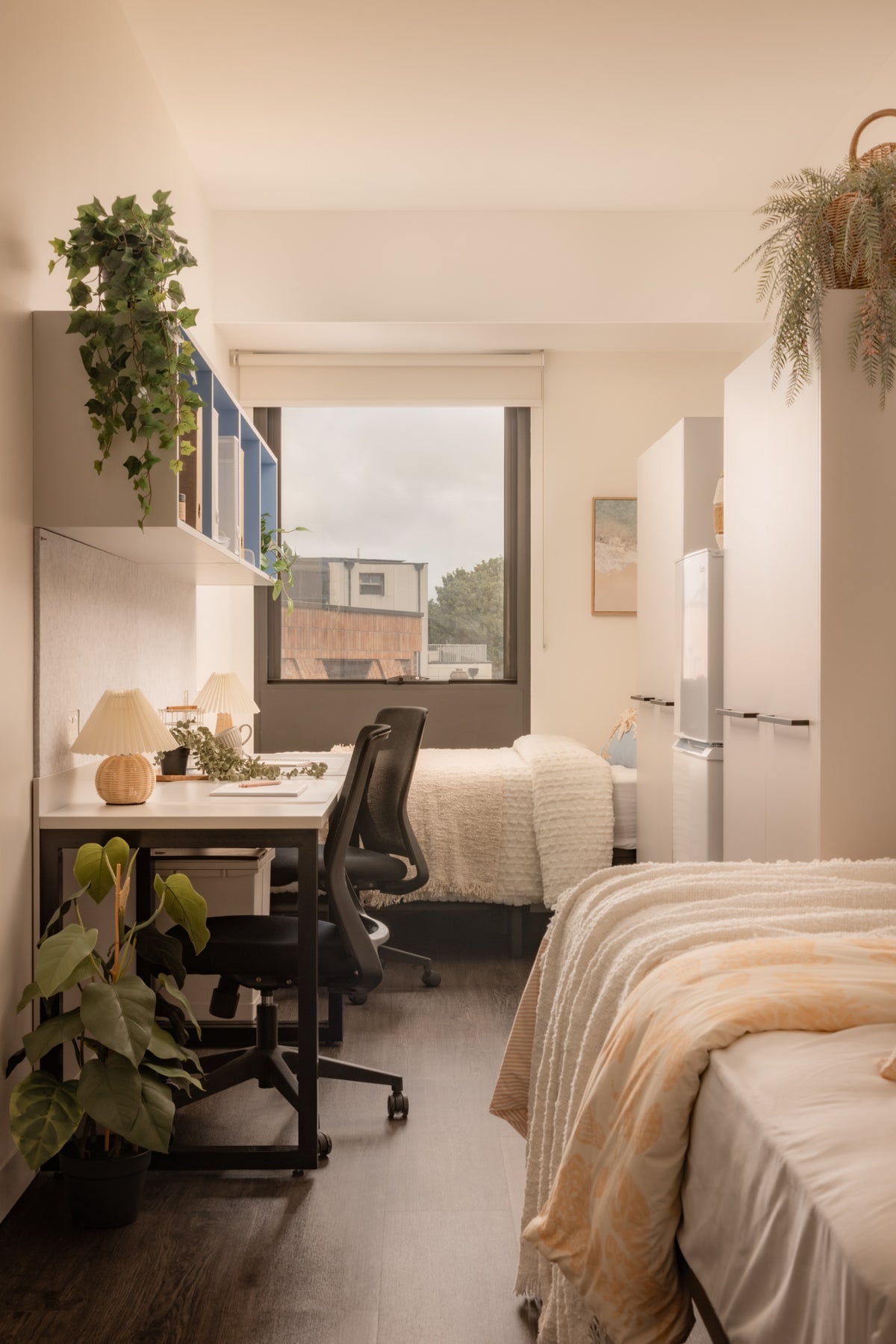 Accolade on Gibbons, Sydney, New South Wales — Embestro Interiors